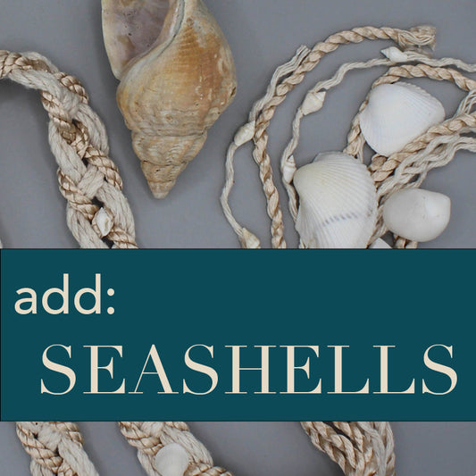 add Seashells