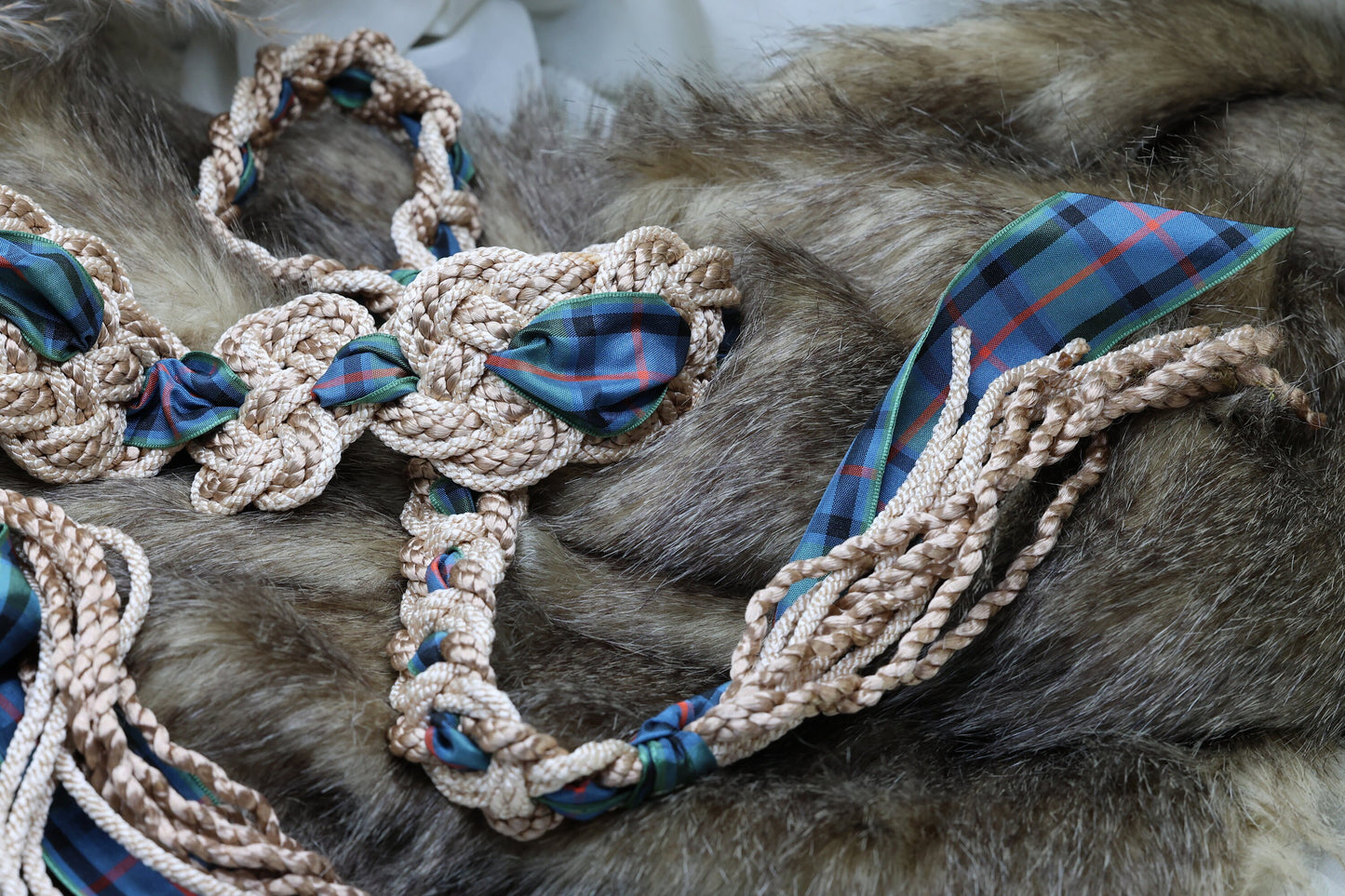 Nine Knot - Tartan