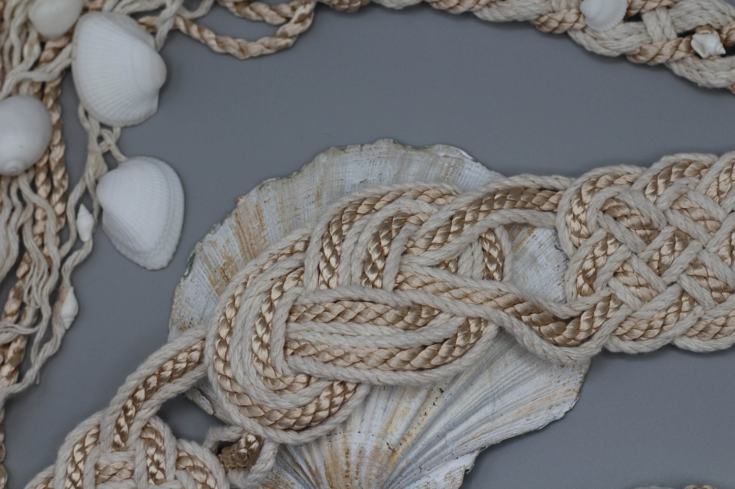 Nine Knot - Seashells