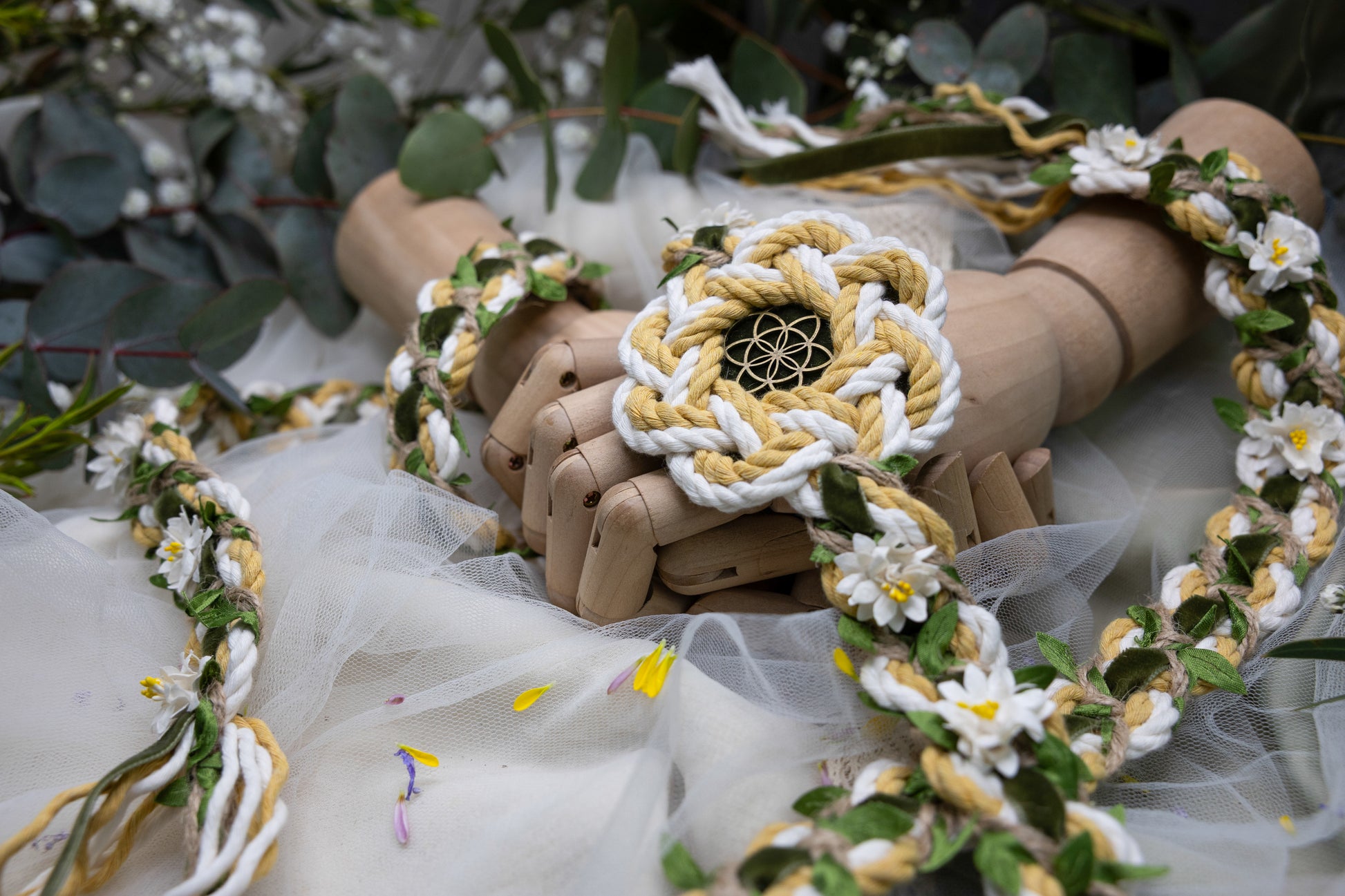 Daisy Knot – Ceotha - Main Image